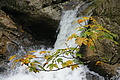 DSC06695 - Bernhard Saalfeld