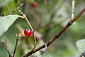 DSC06698 - Bernhard Saalfeld
