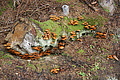 DSC06733 - Bernhard Saalfeld