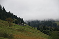 DSC06735 - Bernhard Saalfeld