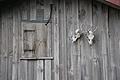 DSC06738 - Bernhard Saalfeld