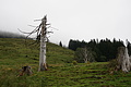 DSC06742 - Bernhard Saalfeld