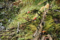 DSC06756 - Bernhard Saalfeld