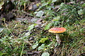 DSC06760 - Bernhard Saalfeld