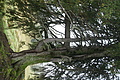 DSC06772 - Bernhard Saalfeld