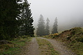 DSC06774 - Bernhard Saalfeld