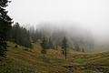 DSC06778 - Bernhard Saalfeld