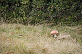 DSC06779 - Bernhard Saalfeld