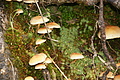 DSC06785 - Bernhard Saalfeld