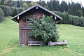 DSC06800 - Bernhard Saalfeld