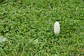 DSC06804 - Bernhard Saalfeld