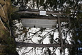 DSC06821 - Bernhard Saalfeld