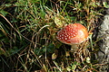 DSC06854 - Bernhard Saalfeld