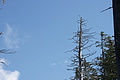 DSC06861 - Bernhard Saalfeld