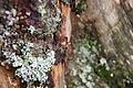 DSC06864 - Bernhard Saalfeld