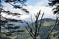 DSC06872 - Bernhard Saalfeld
