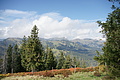 DSC06875 - Bernhard Saalfeld