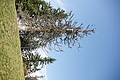 DSC06880 - Bernhard Saalfeld
