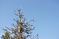 DSC06881 - Bernhard Saalfeld