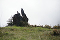 DSC06882 - Bernhard Saalfeld