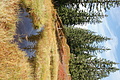 DSC06886 - Bernhard Saalfeld