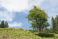 DSC06899 - Bernhard Saalfeld