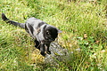 DSC06905 - Bernhard Saalfeld