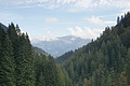 DSC06908 - Bernhard Saalfeld