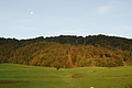 DSC06935 - Bernhard Saalfeld