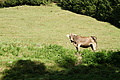 DSC06942 - Bernhard Saalfeld