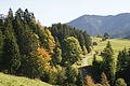 DSC06945 - Bernhard Saalfeld