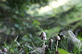DSC06955 - Bernhard Saalfeld