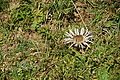 DSC06957 - Bernhard Saalfeld