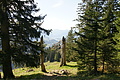 DSC06959 - Bernhard Saalfeld