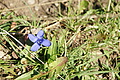 DSC06968 - Bernhard Saalfeld