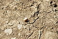 DSC06973 - Bernhard Saalfeld