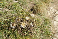 DSC06976 - Bernhard Saalfeld