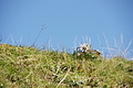 DSC06979 - Bernhard Saalfeld