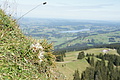 DSC06981 - Bernhard Saalfeld