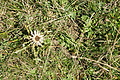 DSC06986 - Bernhard Saalfeld