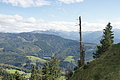 DSC07045 - Bernhard Saalfeld