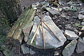DSC07048 - Bernhard Saalfeld