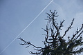 DSC07058 - Bernhard Saalfeld