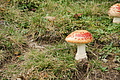DSC07066 - Bernhard Saalfeld