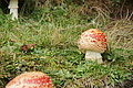 DSC07067 - Bernhard Saalfeld