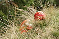 DSC07072 - Bernhard Saalfeld