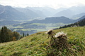 DSC07075 - Bernhard Saalfeld