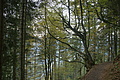 DSC07091 - Bernhard Saalfeld