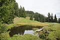 DSC07098 - Bernhard Saalfeld