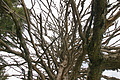 DSC07099 - Bernhard Saalfeld